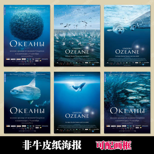 国立科技学院经济学文凭证书